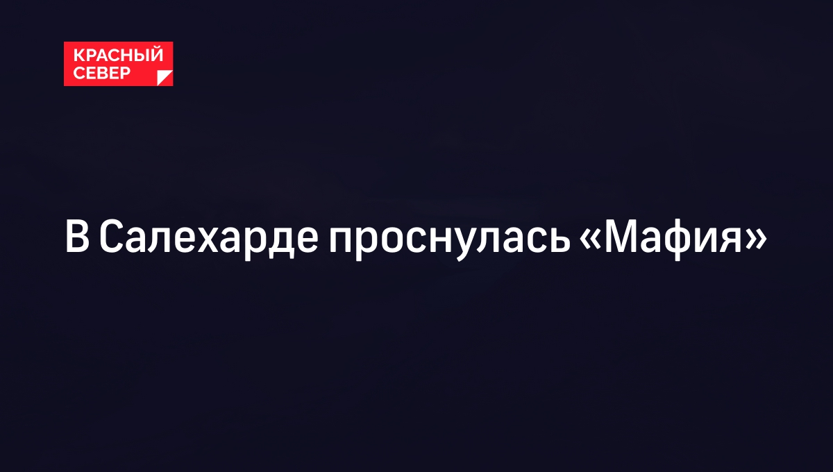 В Салехарде проснулась «Мафия» | «Красный Север»