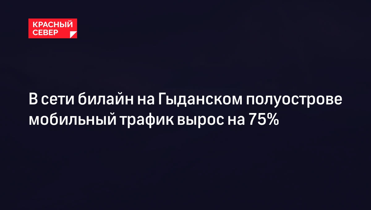 В сети билайн на Гыданском полуострове мобильный трафик вырос на 75% |  «Красный Север»