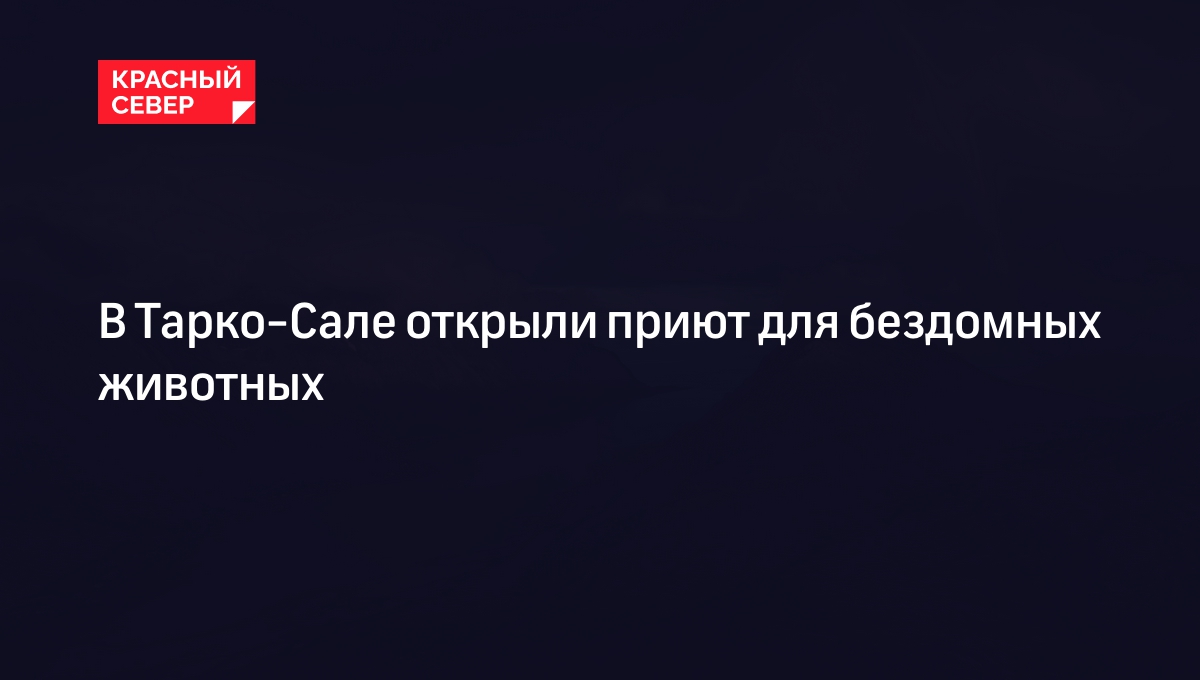 В Тарко-Сале открыли приют для бездомных животных | «Красный Север»