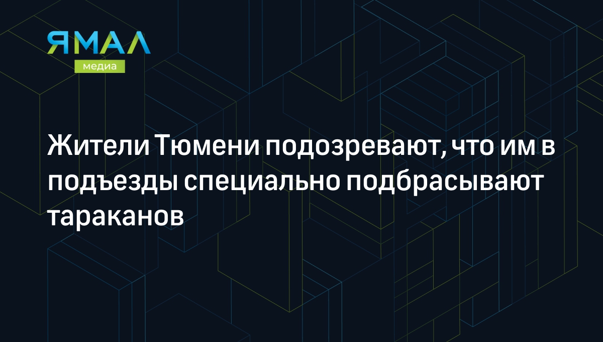 Жители Тюмени подозревают, что им в подъезды специально подбрасывают  тараканов | Ямал-Медиа